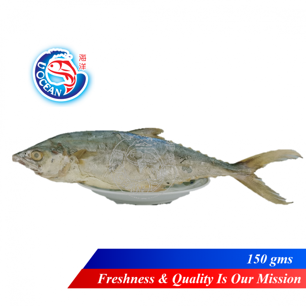 Ikan Masin Tenggiri